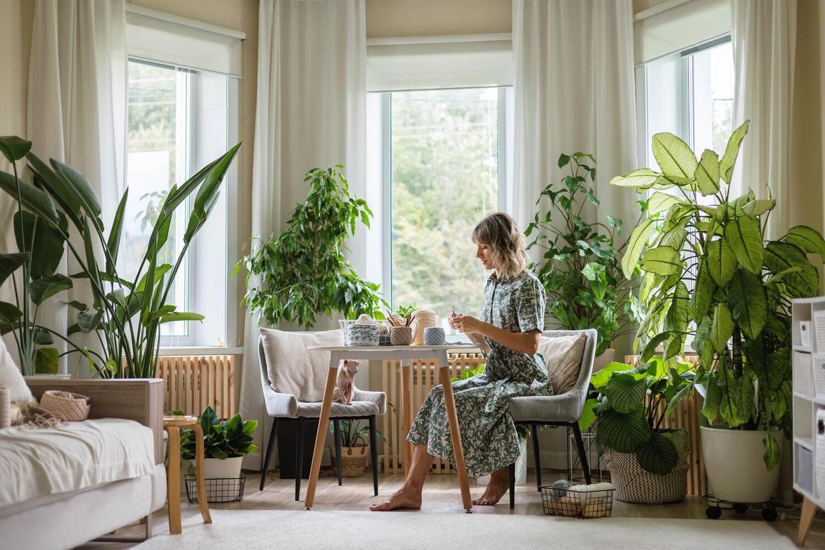The Minimalist Lifestyle: Less is More for Sustainability