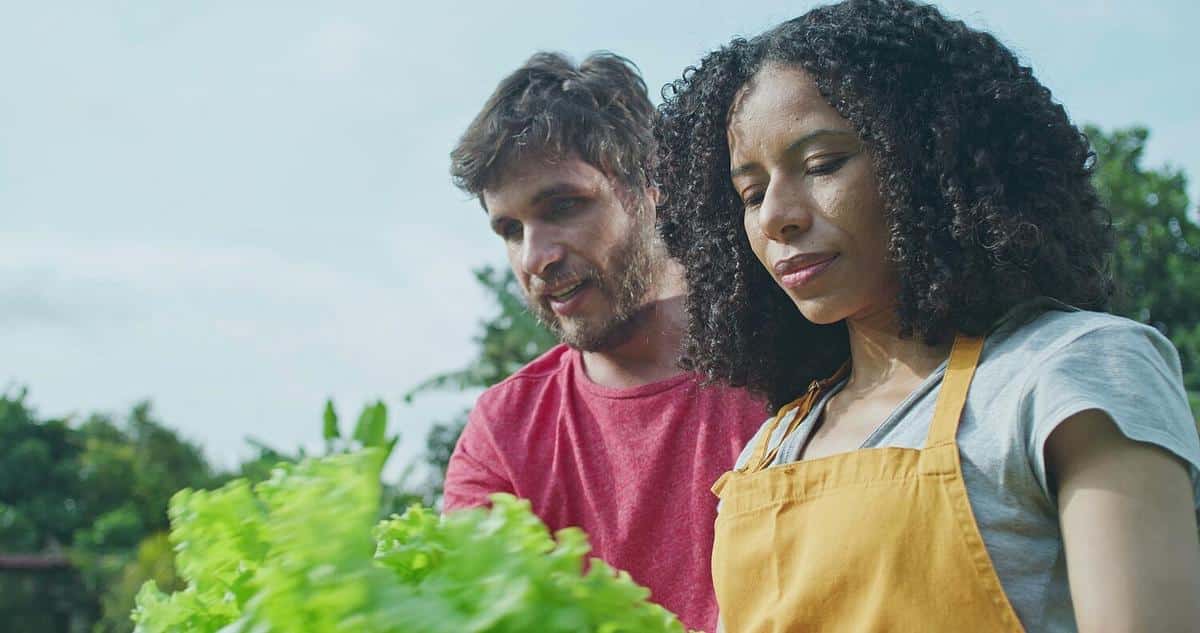 Climate Change and Its Impact on Global Agriculture